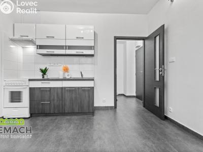 Rent apartment 1+KK Bohuslavice č. 2