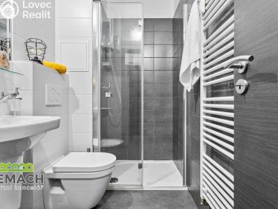 Rent apartment 1+KK Bohuslavice č. 3