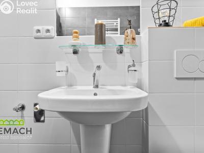 Rent apartment 1+KK Bohuslavice č. 8
