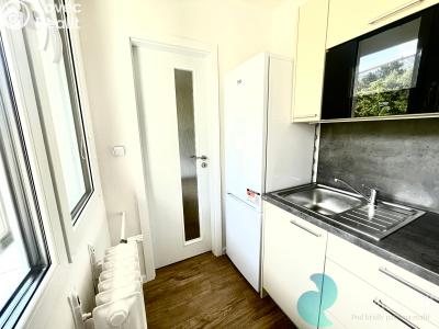 Оренда квартири 1+KK Praha, Sládkovičova č. 5