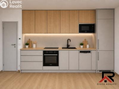 Аренда квартиры 1+KK Třebíč, Modřínová 493 č. 8