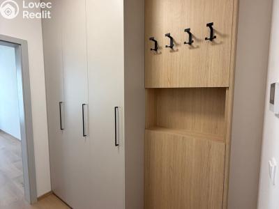 Rent apartment 1+KK Třebíč, Modřínová č. 7