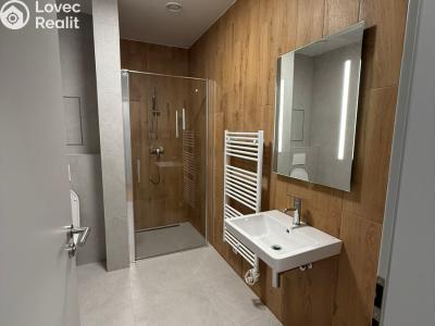 Rent apartment 1+KK Třebíč, Modřínová č. 8