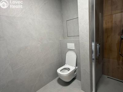 Rent apartment 1+KK Třebíč, Modřínová č. 9