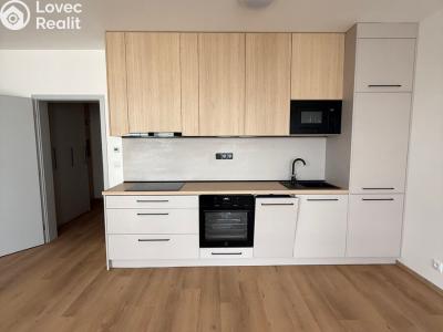 Rent apartment 1+KK Třebíč, Modřínová č. 11