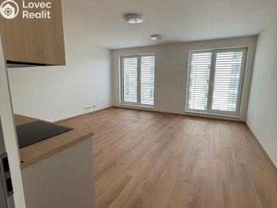 Rent apartment 1+KK Třebíč, Modřínová č. 12