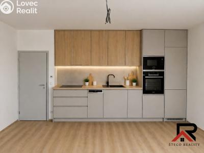 Аренда квартиры 2+KK Třebíč, Modřínová 493 č. 9