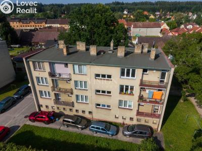 Sale apartment 3+1 Planá nad Lužnicí, Příčná č. 1