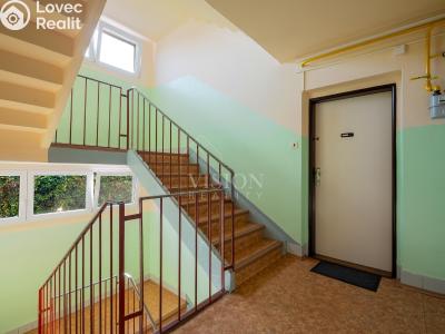 Продаж квартири 3+1 Planá nad Lužnicí, Příčná č. 2