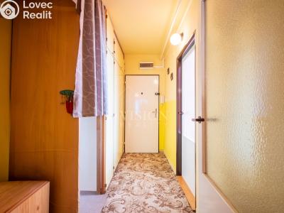 Продаж квартири 3+1 Planá nad Lužnicí, Příčná č. 3