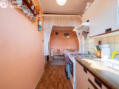 Продаж квартири 3+1 Planá nad Lužnicí, Příčná č. 5