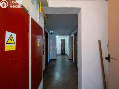Продаж квартири 3+1 Planá nad Lužnicí, Příčná č. 12