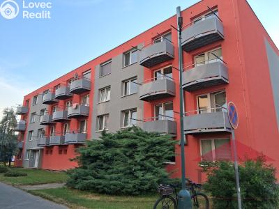 Pronájem bytu 1+1 Telč, Radkovská 452 č. 7
