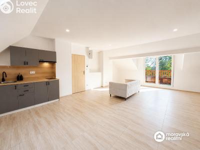 Продажа квартиры 1+KK Brno, Viniční č. 1