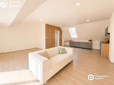 Продажа квартиры 1+KK Brno, Viniční č. 6