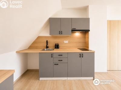 Продажа квартиры 1+KK Brno, Viniční č. 8