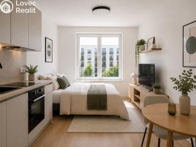 Rent apartment 1+KK Praha, Pod Třebešínem č. 4