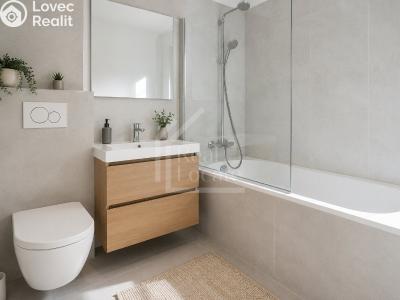 Rent apartment 1+KK Praha, Pod Třebešínem č. 1