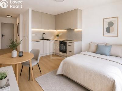 Rent apartment 1+KK Praha, Pod Třebešínem č. 2