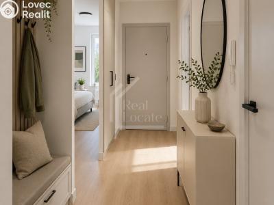 Rent apartment 1+KK Praha, Pod Třebešínem č. 3