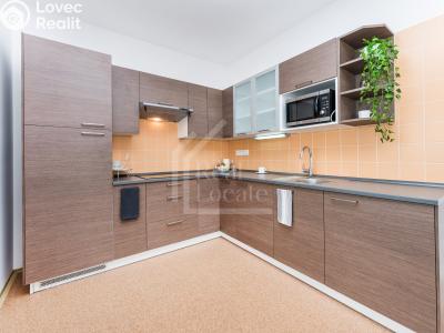 Rent apartment 2+KK Praha, Pod soutratím č. 2