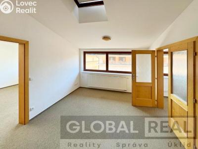 Rent apartment 3+1 Velké Meziříčí č. 2