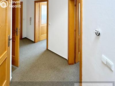 Rent apartment 3+1 Velké Meziříčí č. 9