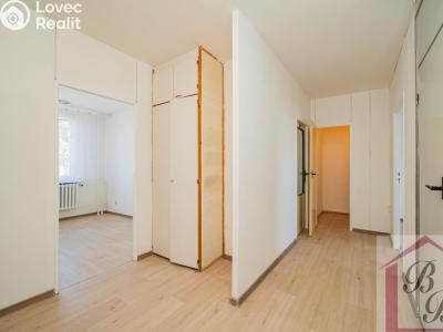 Prodej bytu 3+1 Benátky nad Jizerou, Platanová 647 č. 17