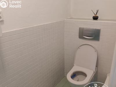 Pronájem bytu 1+1 Třebíč č. 10