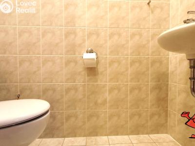 Rent apartment 3+KK Praha, Nad Okrouhlíkem č. 4
