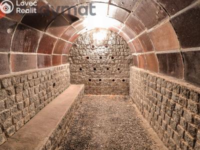 Продаж сімейного будинку Lanžhot, Vinohrady č. 11
