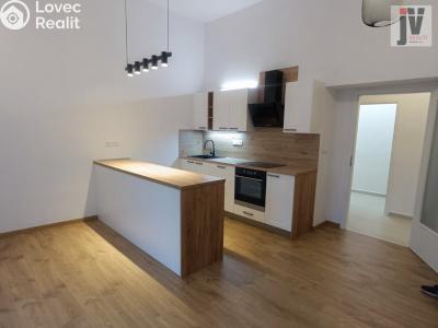 Rent apartment 2+KK Plzeň, Kardinála Berana č. 9