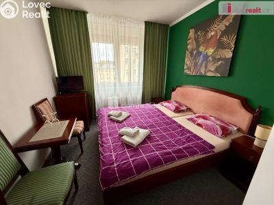 Продаж готелі Mariánské Lázně, Hlavní třída č. 5
