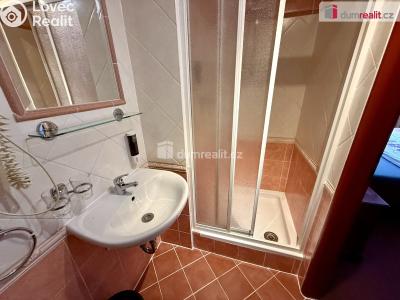 Продаж готелі Mariánské Lázně, Hlavní třída č. 31