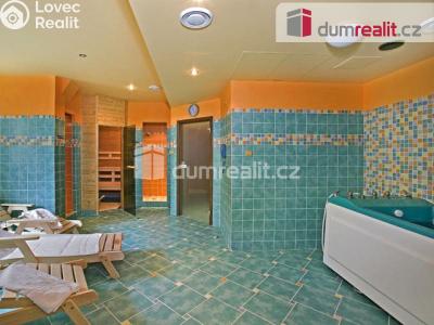 Продаж готелі Mariánské Lázně, Hlavní třída č. 33