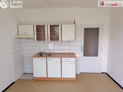 Pronájem bytu 1+1 Děčín, Želenická č. 2