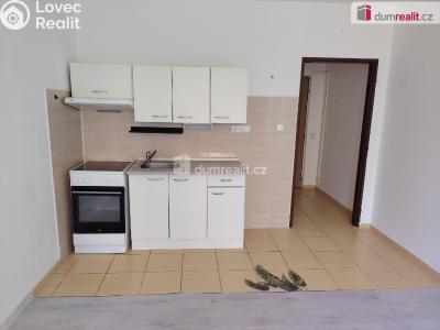 Pronájem bytu 1+KK Děčín, Želenická č. 2