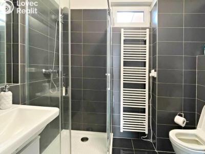 Rent apartment 2+KK Lavičky č. 2