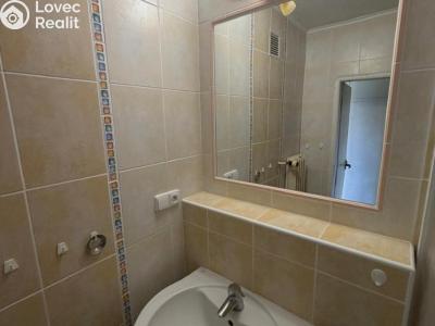 Prodej bytu 2+1 Meziboří, Okružní 225 č. 10