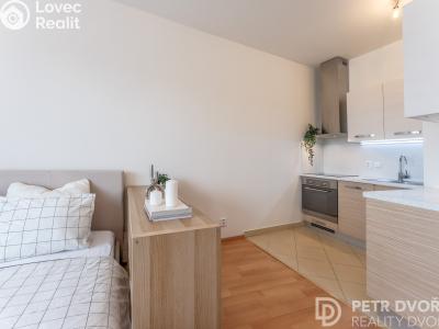 Продаж квартири 1+KK Praha, Nademlejnská č. 5