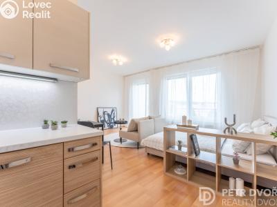 Продаж квартири 1+KK Praha, Nademlejnská č. 8