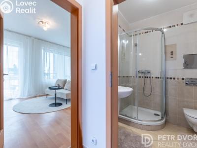 Продаж квартири 1+KK Praha, Nademlejnská č. 13