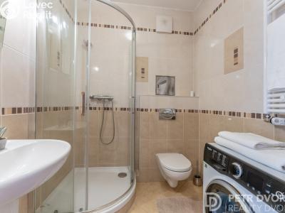 Продаж квартири 1+KK Praha, Nademlejnská č. 14