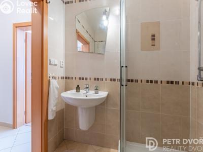 Продаж квартири 1+KK Praha, Nademlejnská č. 16