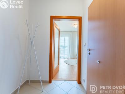 Продаж квартири 1+KK Praha, Nademlejnská č. 17