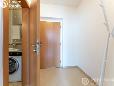 Продаж квартири 1+KK Praha, Nademlejnská č. 18