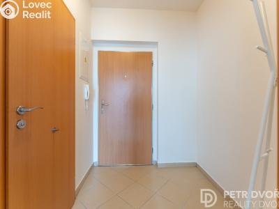 Продаж квартири 1+KK Praha, Nademlejnská č. 19