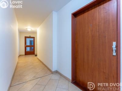 Продаж квартири 1+KK Praha, Nademlejnská č. 20