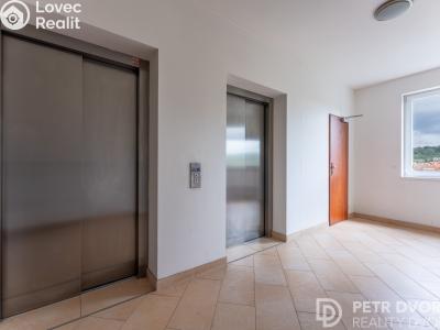 Продаж квартири 1+KK Praha, Nademlejnská č. 25
