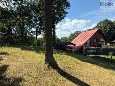 Sale hut Bořislav č. 6